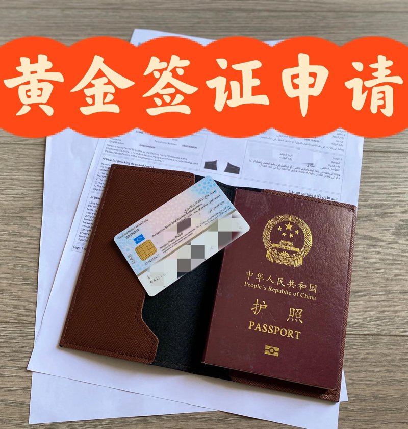 了解欧洲移民：步骤指南与经验分享